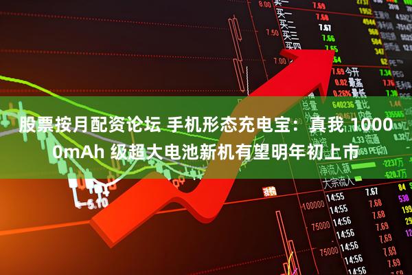 股票按月配资论坛 手机形态充电宝：真我 10000mAh 级超大电池新机有望明年初上市