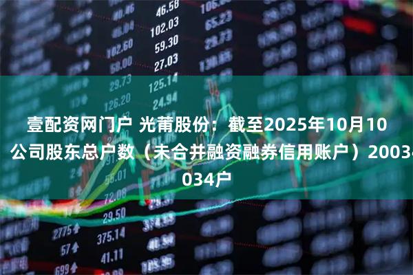 壹配资网门户 光莆股份：截至2025年10月10日，公司股东总户数（未合并融资融券信用账户）20034户