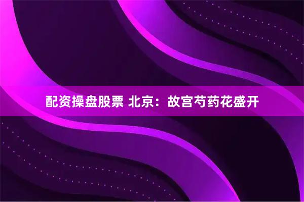 配资操盘股票 北京：故宫芍药花盛开